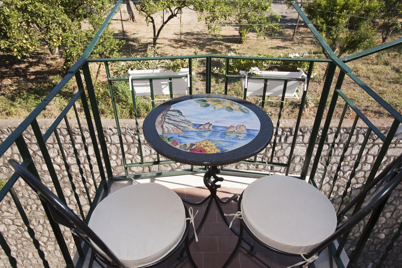 Golfo Delle Sirene Bed & Breakfast ซอร์เรนโต ภายนอก รูปภาพ